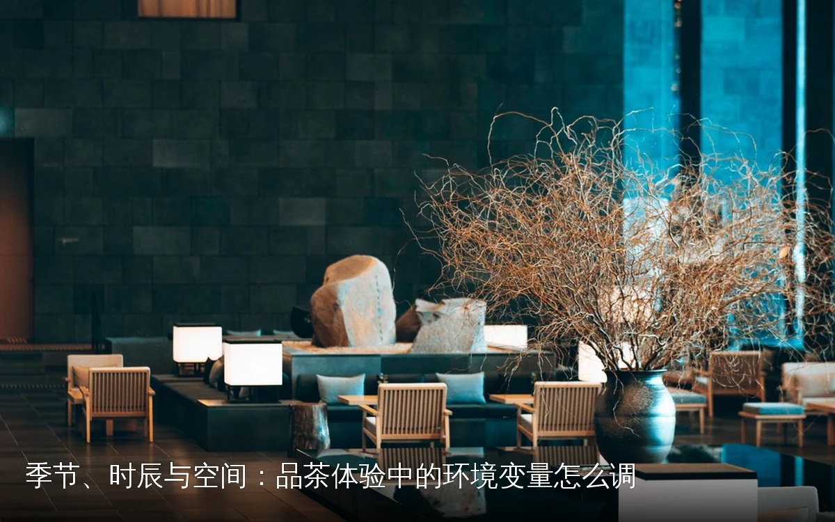 季节、时辰与空间：品茶体验中的环境变量怎么调